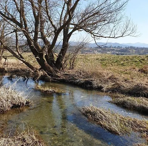 Apartamento Apartma Claudia *