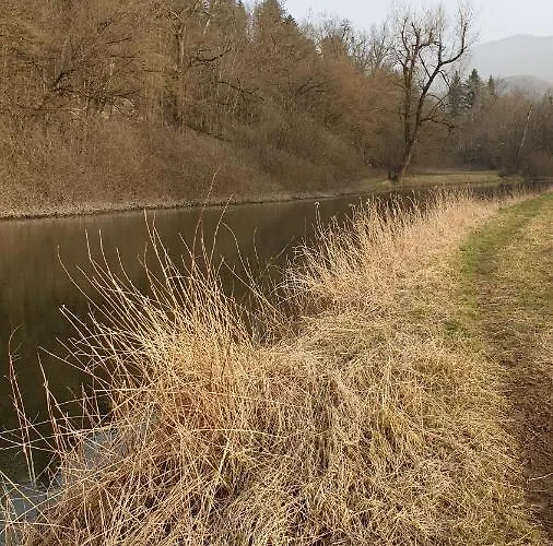 アパート Apartma Claudia ピフカ