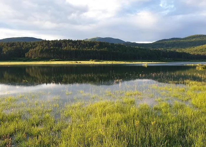 Apartma Claudia アパート ピフカ